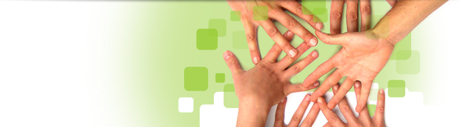Trabajo en Equipo
