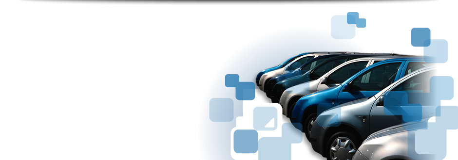 Seguro Automotor online